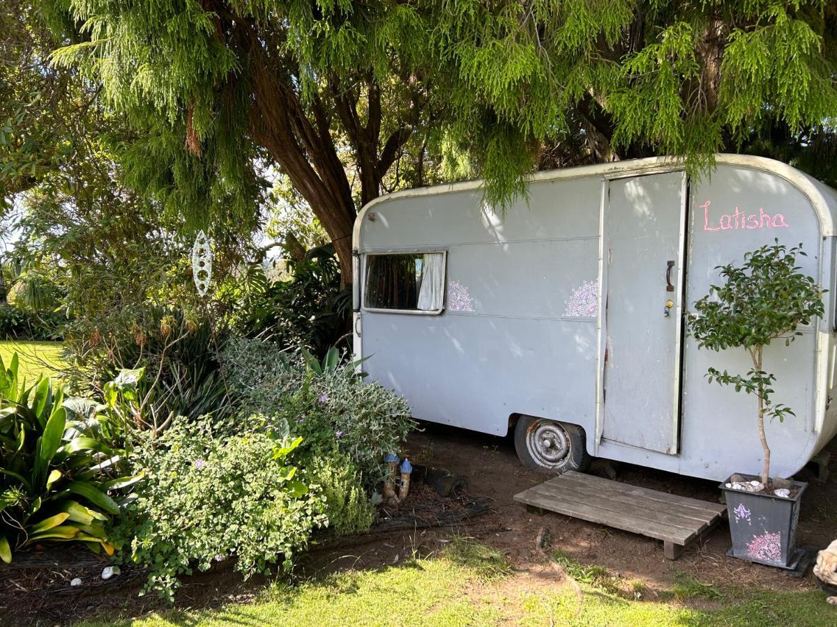 Morepork Rural Oasis Aongatete Exterior photo